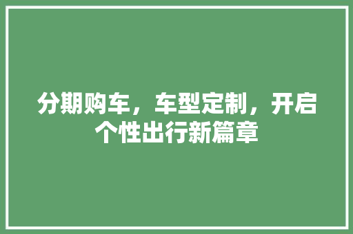 分期购车，车型定制，开启个性出行新篇章