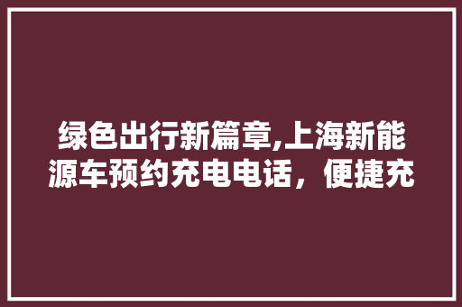 绿色出行新篇章,上海新能源车预约充电电话，便捷充电体验再升级