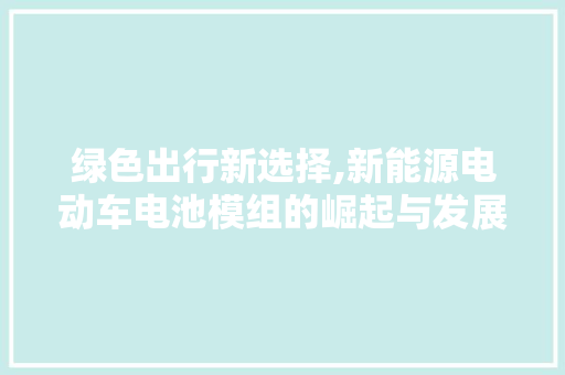 绿色出行新选择,新能源电动车电池模组的崛起与发展
