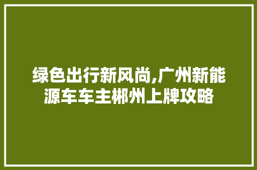 绿色出行新风尚,广州新能源车车主郴州上牌攻略