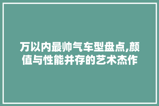 万以内最帅气车型盘点,颜值与性能并存的艺术杰作
