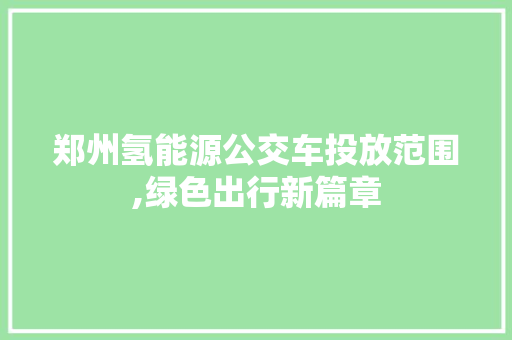 郑州氢能源公交车投放范围,绿色出行新篇章