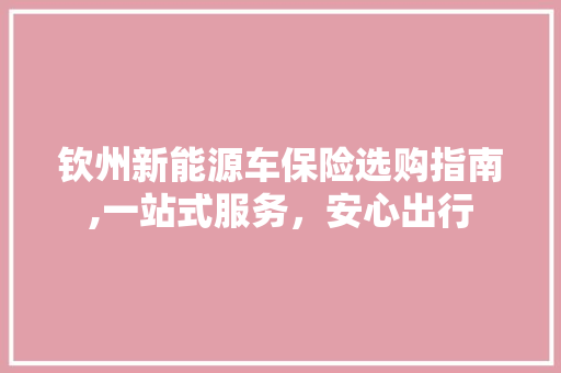 钦州新能源车保险选购指南,一站式服务，安心出行