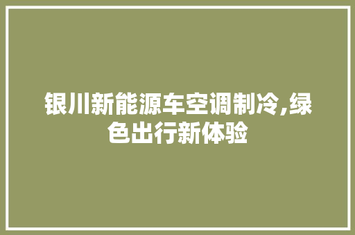 银川新能源车空调制冷,绿色出行新体验