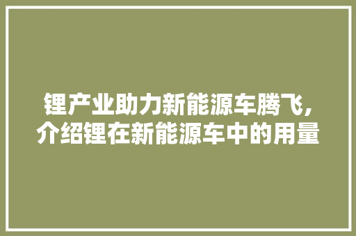 锂产业助力新能源车腾飞,介绍锂在新能源车中的用量与未来趋势