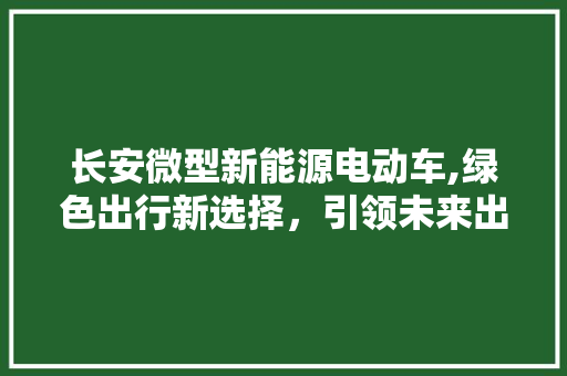 长安微型新能源电动车,绿色出行新选择，引领未来出行潮流