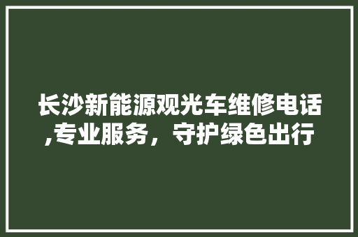 长沙新能源观光车维修电话,专业服务，守护绿色出行