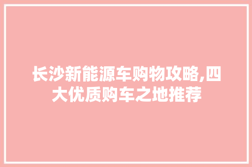 长沙新能源车购物攻略,四大优质购车之地推荐