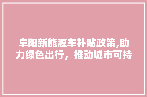 阜阳新能源车补贴政策,助力绿色出行，推动城市可持续发展 智能驾驶