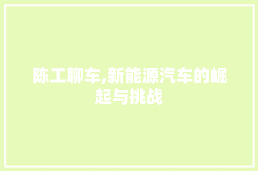 陈工聊车,新能源汽车的崛起与挑战