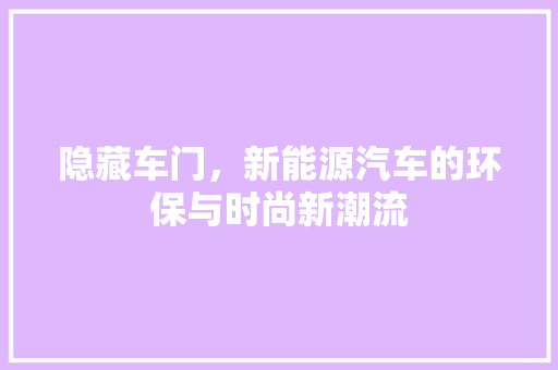 隐藏车门，新能源汽车的环保与时尚新潮流