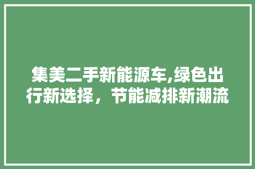 集美二手新能源车,绿色出行新选择，节能减排新潮流 车载导航