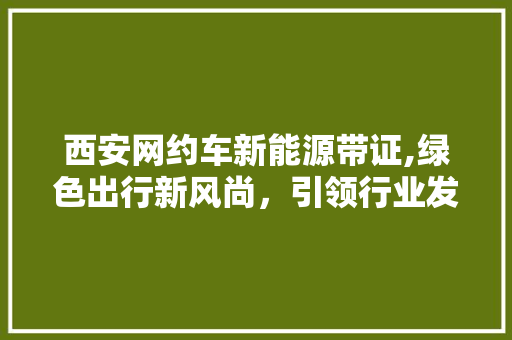 西安网约车新能源带证,绿色出行新风尚，引领行业发展新潮流