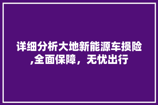 详细分析大地新能源车损险,全面保障，无忧出行