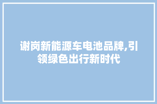 谢岗新能源车电池品牌,引领绿色出行新时代 智能驾驶