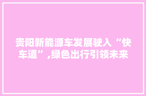 贵阳新能源车发展驶入“快车道”,绿色出行引领未来城市新风尚