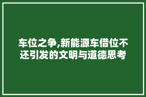 车位之争,新能源车借位不还引发的文明与道德思考 车联网技术