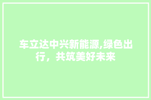 车立达中兴新能源,绿色出行，共筑美好未来