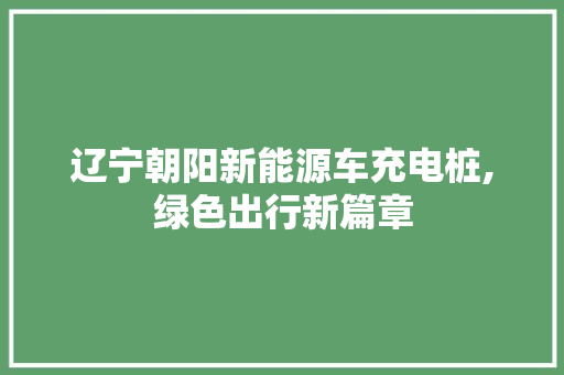 辽宁朝阳新能源车充电桩,绿色出行新篇章