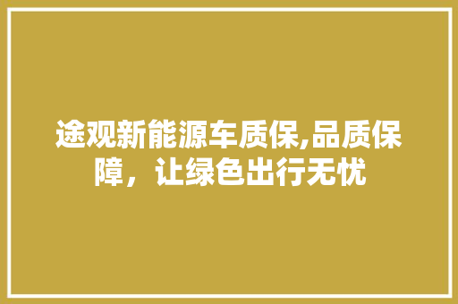 途观新能源车质保,品质保障，让绿色出行无忧