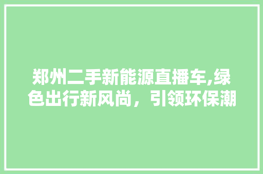 郑州二手新能源直播车,绿色出行新风尚，引领环保潮流