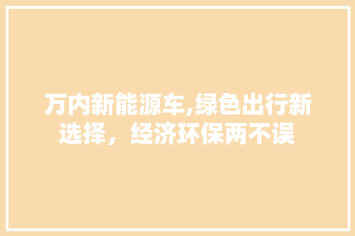 万内新能源车,绿色出行新选择，经济环保两不误
