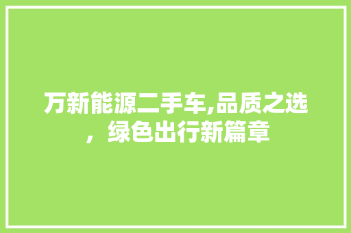 万新能源二手车,品质之选，绿色出行新篇章