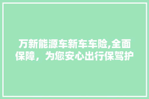 万新能源车新车车险,全面保障，为您安心出行保驾护航