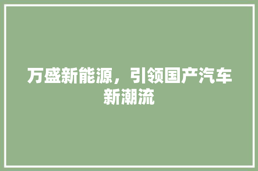 万盛新能源，引领国产汽车新潮流