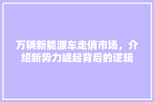 万辆新能源车走俏市场，介绍新势力崛起背后的逻辑