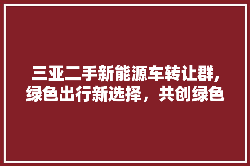 三亚二手新能源车转让群,绿色出行新选择，共创绿色未来
