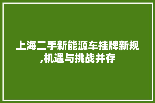 上海二手新能源车挂牌新规,机遇与挑战并存