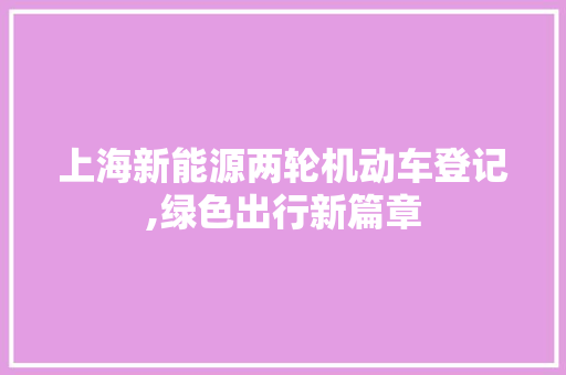 上海新能源两轮机动车登记,绿色出行新篇章