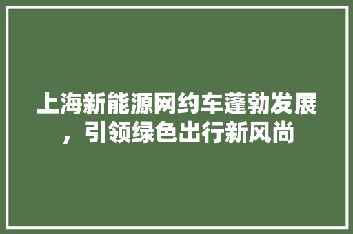 上海新能源网约车蓬勃发展，引领绿色出行新风尚