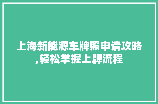 上海新能源车牌照申请攻略,轻松掌握上牌流程
