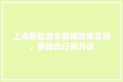 上海新能源车解绑政策实施，便捷出行再升级