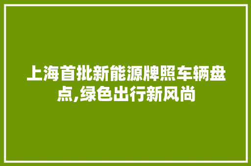 上海首批新能源牌照车辆盘点,绿色出行新风尚 新能源汽车