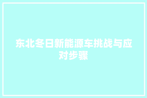 东北冬日新能源车挑战与应对步骤