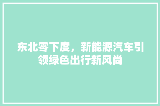 东北零下度，新能源汽车引领绿色出行新风尚 自动驾驶