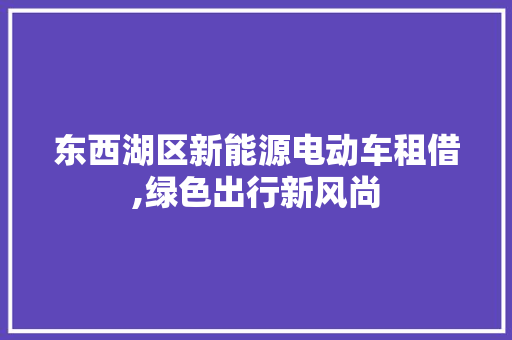 东西湖区新能源电动车租借,绿色出行新风尚