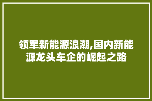 领军新能源浪潮,国内新能源龙头车企的崛起之路