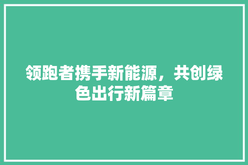 领跑者携手新能源，共创绿色出行新篇章