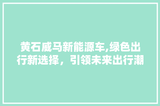 黄石威马新能源车,绿色出行新选择，引领未来出行潮流