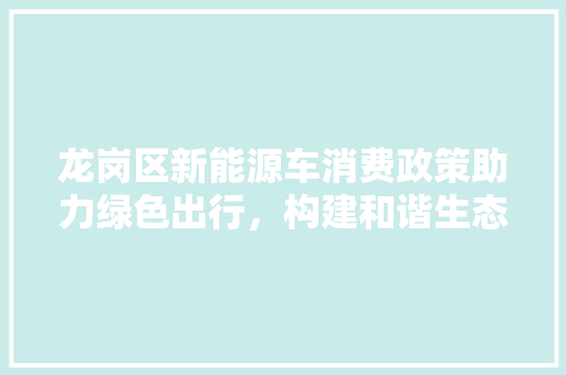 龙岗区新能源车消费政策助力绿色出行，构建和谐生态城市 自动驾驶