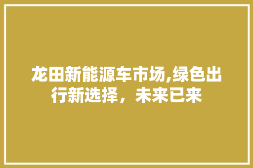 龙田新能源车市场,绿色出行新选择，未来已来