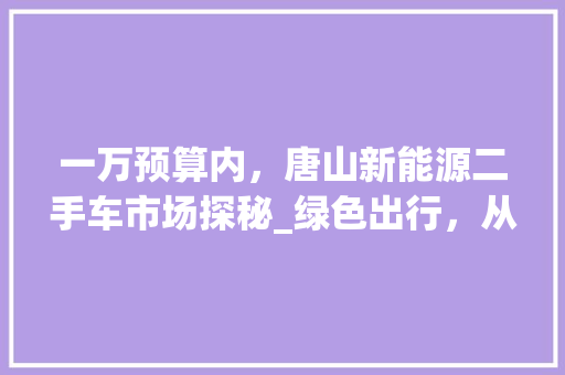 一万预算内，唐山新能源二手车市场探秘_绿色出行，从选车开始 自动驾驶