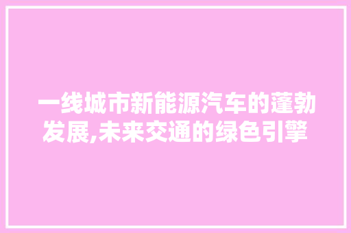 一线城市新能源汽车的蓬勃发展,未来交通的绿色引擎
