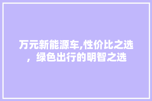 万元新能源车,性价比之选，绿色出行的明智之选