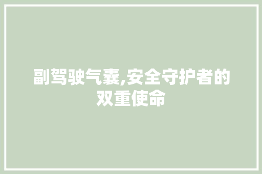 副驾驶气囊,安全守护者的双重使命