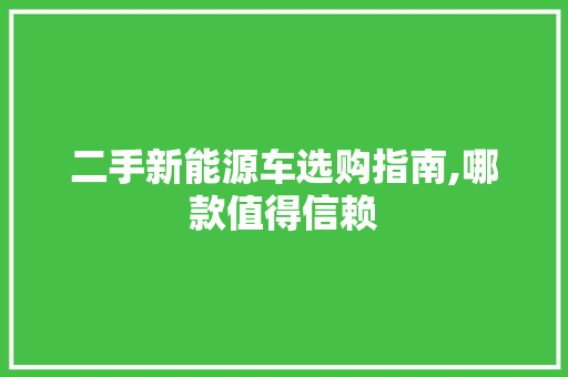 二手新能源车选购指南,哪款值得信赖 车载导航